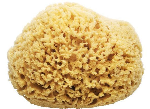 Kryolan Natural Sea Sponge
